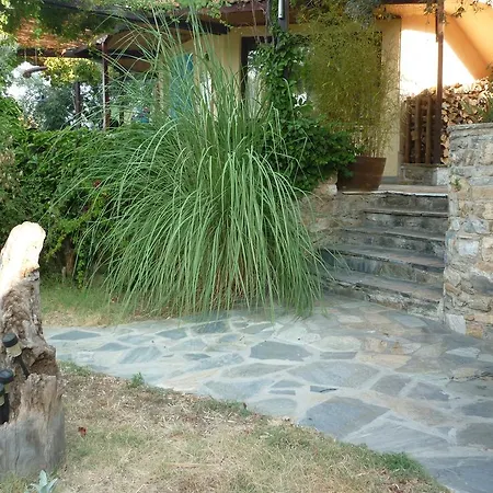 The Place By The Sun *